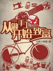 《重回95：从做手工开始致富》小说封面