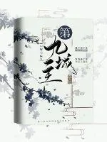 《第九城主》小说封面