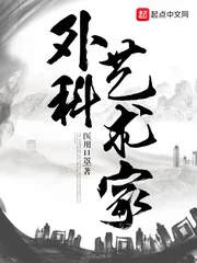 《外科艺术家》小说封面