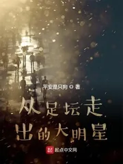 《从足坛走出的大明星》小说封面