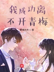 《我成功离不开青梅》小说封面
