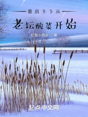 《重启95从老坛酸菜开始》小说封面