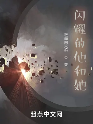 《闪耀的他和她》小说封面