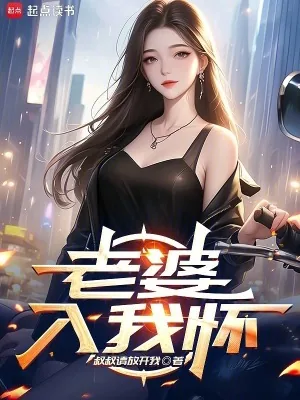 《老婆入我怀》小说封面