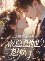 《太太挺孕肚消失,霍总想她想疯了》小说封面