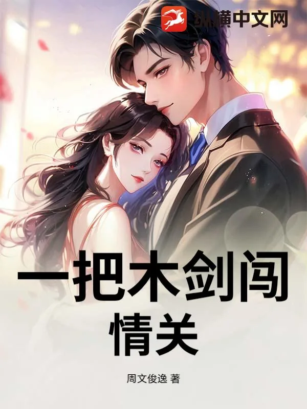 《一把木剑闯情关》小说封面