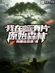 《我在1980有片原始森林》小说封面