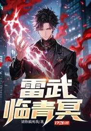 《雷武临青冥》小说封面
