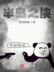 《半岛之侠》小说封面