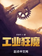 《工业狂魔》小说封面