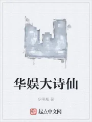 《华娱大诗仙》小说封面