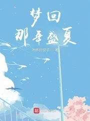《梦回那年盛夏》小说封面