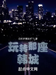 《玩转那座韩城》小说封面