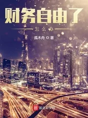 《财务自由了怎么办》小说封面