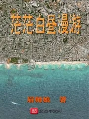 《茫茫白昼漫游》小说封面