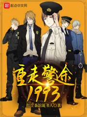 《重走警途1993》小说封面