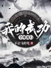 《我的武功全球流行》小说封面