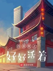 《四合院之好好活着》小说封面