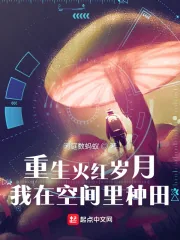 《重生火红岁月，我在空间里种田》小说封面