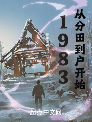 《1983：从分田到户开始》小说封面