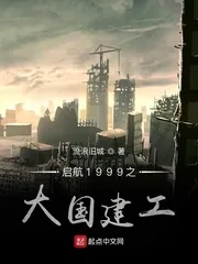 《启航1999之大国建工》小说封面