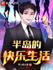 《半岛的快乐生活》小说封面