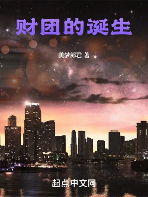 《财团的诞生》小说封面