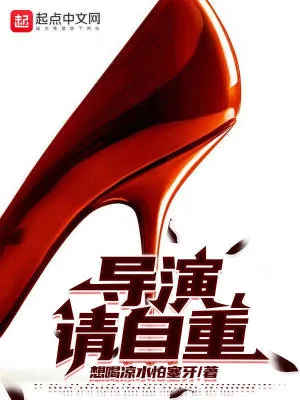 《导演，请自重》小说封面