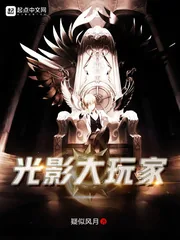 《光影大玩家》小说封面