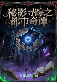 《秘影寻踪之都市奇谭》小说封面