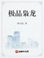 《极品枭龙》小说封面