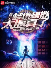 《这个梦境模拟太逼真了》小说封面