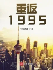 《重返1995》小说封面
