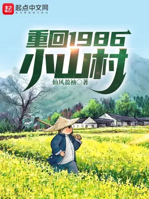 《重回1986小山村》小说封面