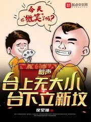 《相声：台上无大小，台下立新坟》小说封面