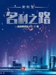 《美利坚名利之路》小说封面