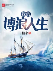 《我的博浪人生》小说封面