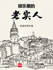 《娱乐圈的老实人》小说封面