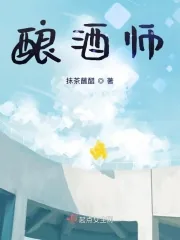 《酿酒师》小说封面