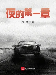 《夜的第一章》小说封面