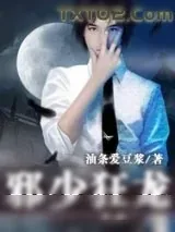 《邪少狂龙》小说封面