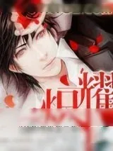 《炽耀》小说封面