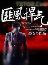 《匪风悍气》小说封面