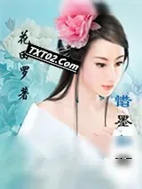 《惜墨如君》小说封面