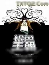 《银色王朝》小说封面