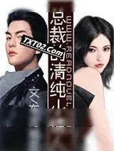 《总裁的清纯小情人》小说封面