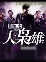 《重生之大枭雄》小说封面