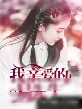《我亲爱的易先生》小说封面