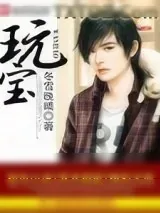 《玩宝》小说封面