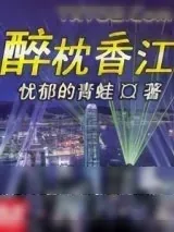 《醉枕香江》小说封面